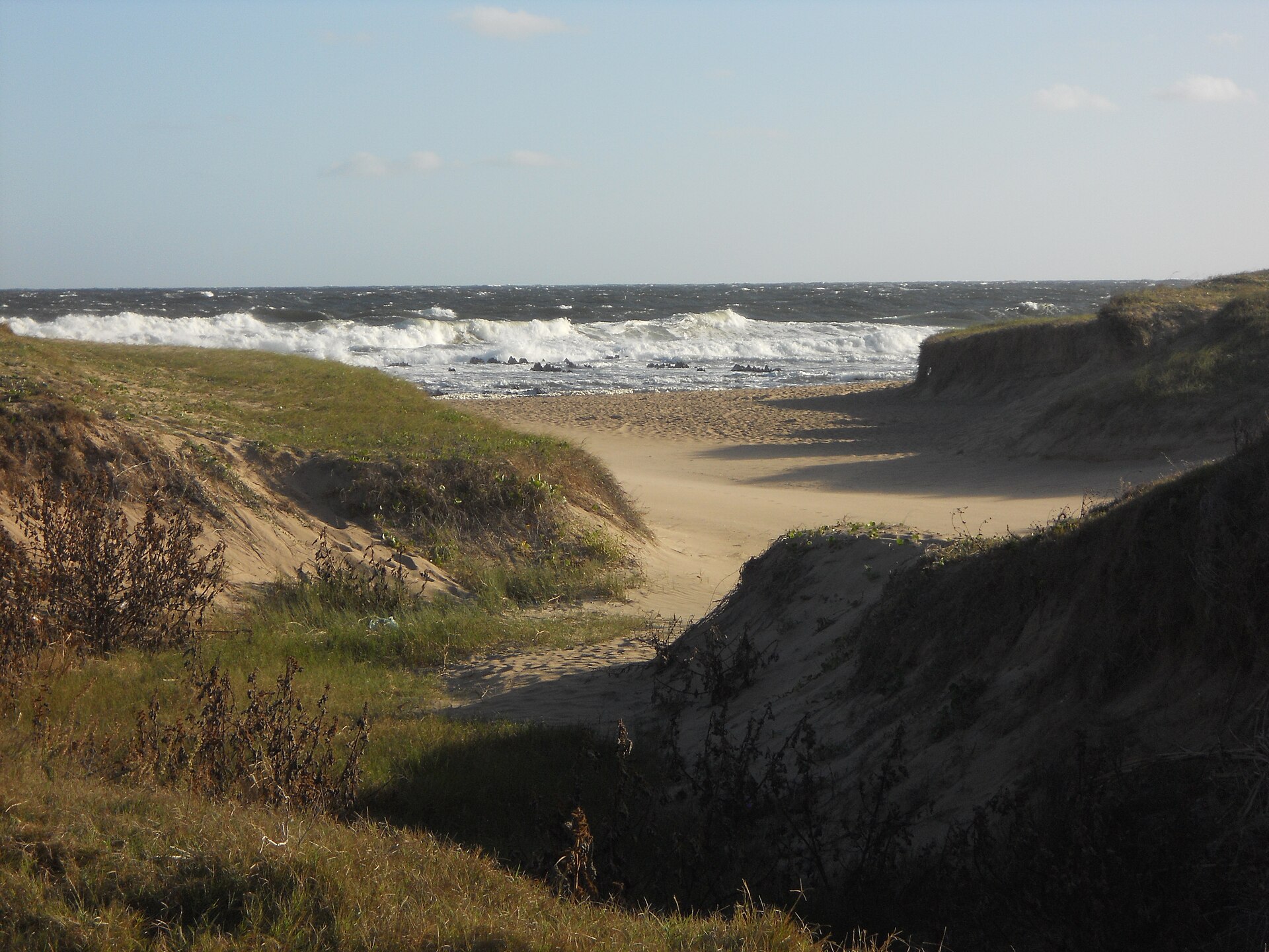 Playa de Arachania